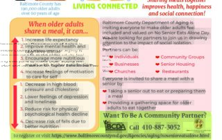 No Senior Eats Alone Day Flier